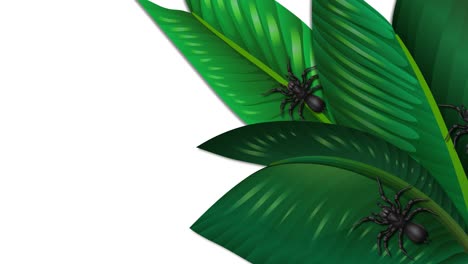 araña moviéndose a través de hojas verdes