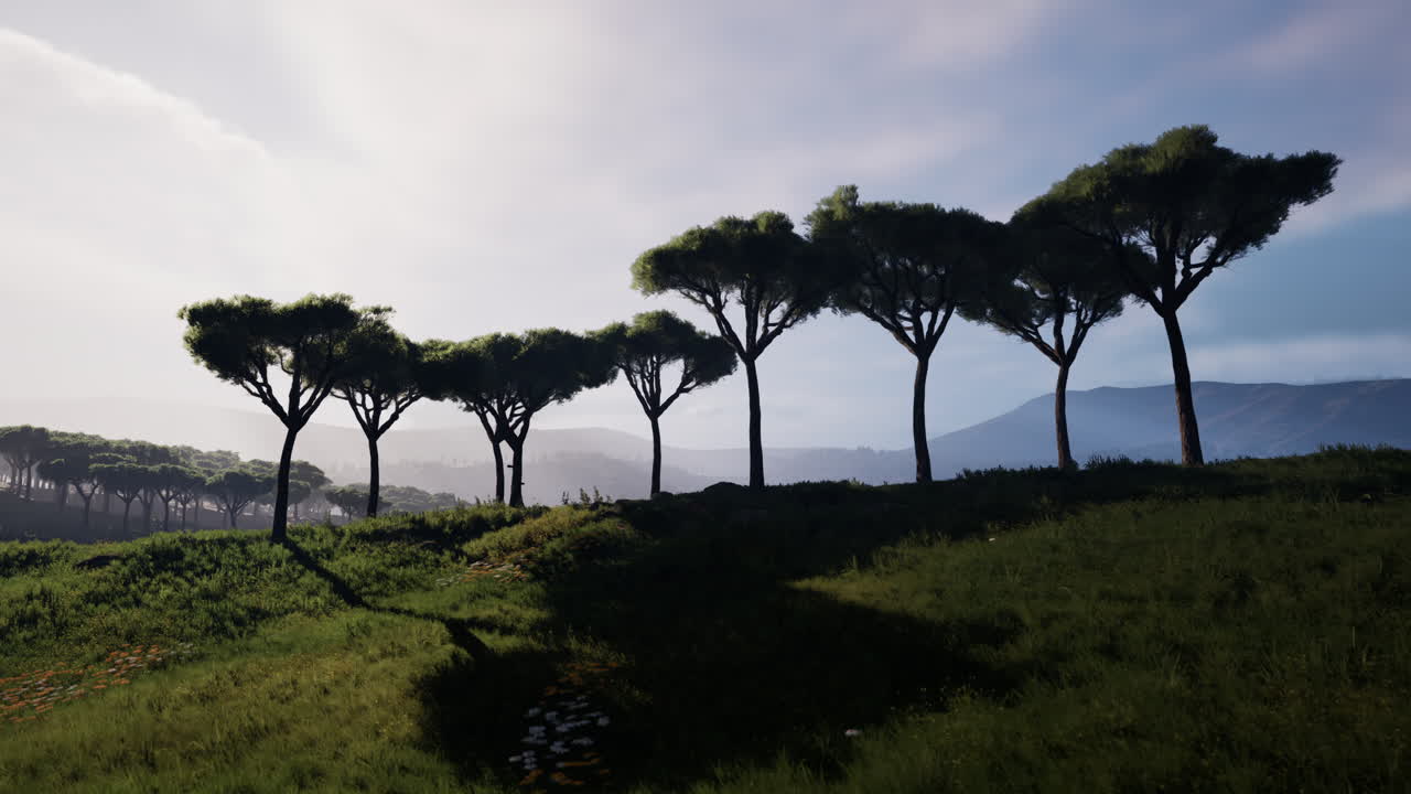 마고 국립 공원 의 공중 파노라마