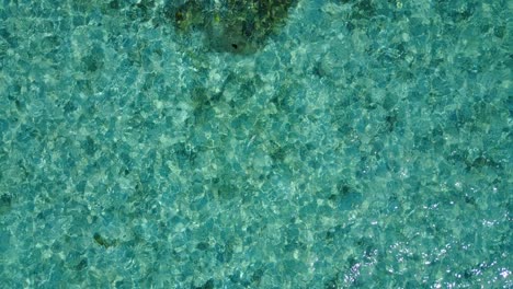 cebu island, philippines - the beautiful and pristine blue ocean with coral reefs underwater - aerial shot