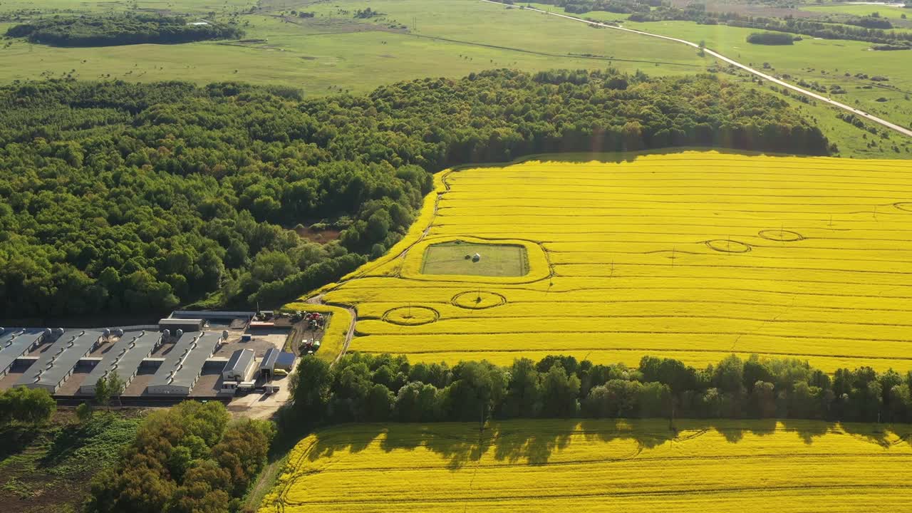 여름에 시드 에 있는 원들