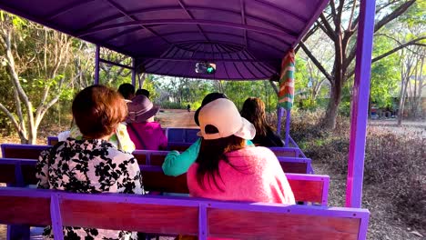 passengers enjoy scenic tram ride in thailand