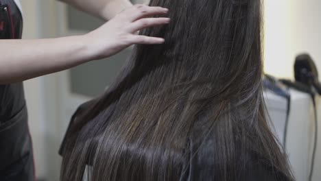 a hairdresser gently touches a woman's straight, brown, freshly styled hair at the salon.