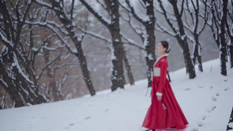 A woman in a red dress walks through a snowy forest. The video captures a side angle