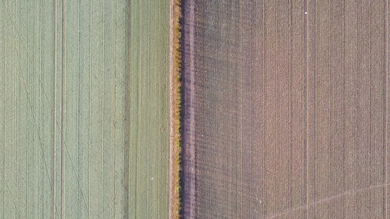 vista aérea de pájaro tomada sobre un borde entre dos campos, uno arado el otro verde, borde central