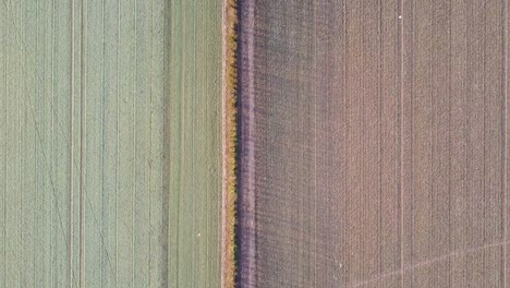 vista aérea de pájaro tomada sobre un borde entre dos campos, uno arado el otro verde, borde central
