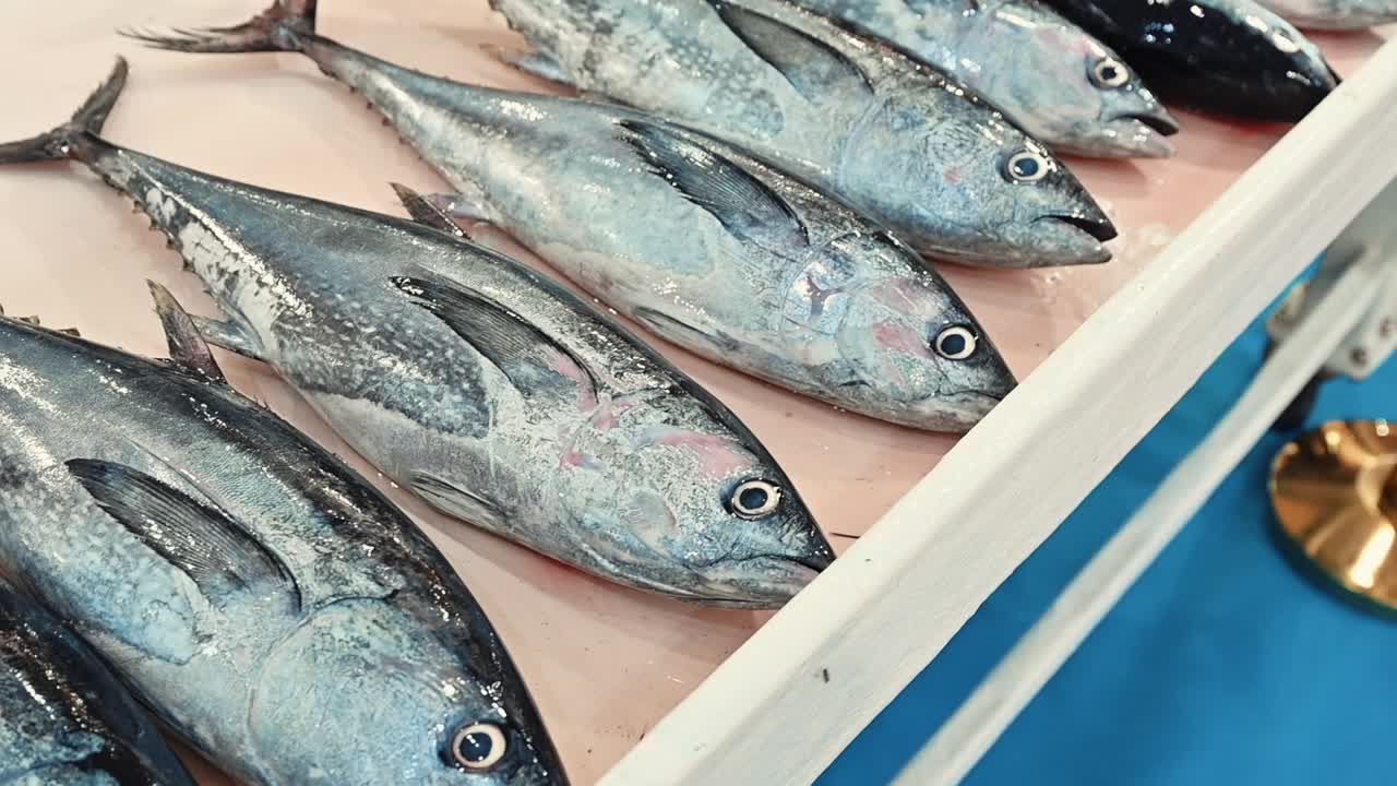atún blanco fresco expuesto para la venta en un mercado de pescado