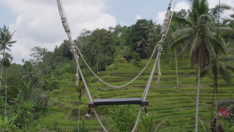 un columpio panorámico con vistas a las exuberantes terrazas de arroz tegallalang en bali