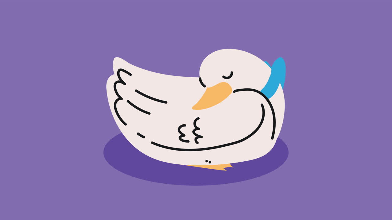 귀여운 오리 동물 캐릭터 애니메이션