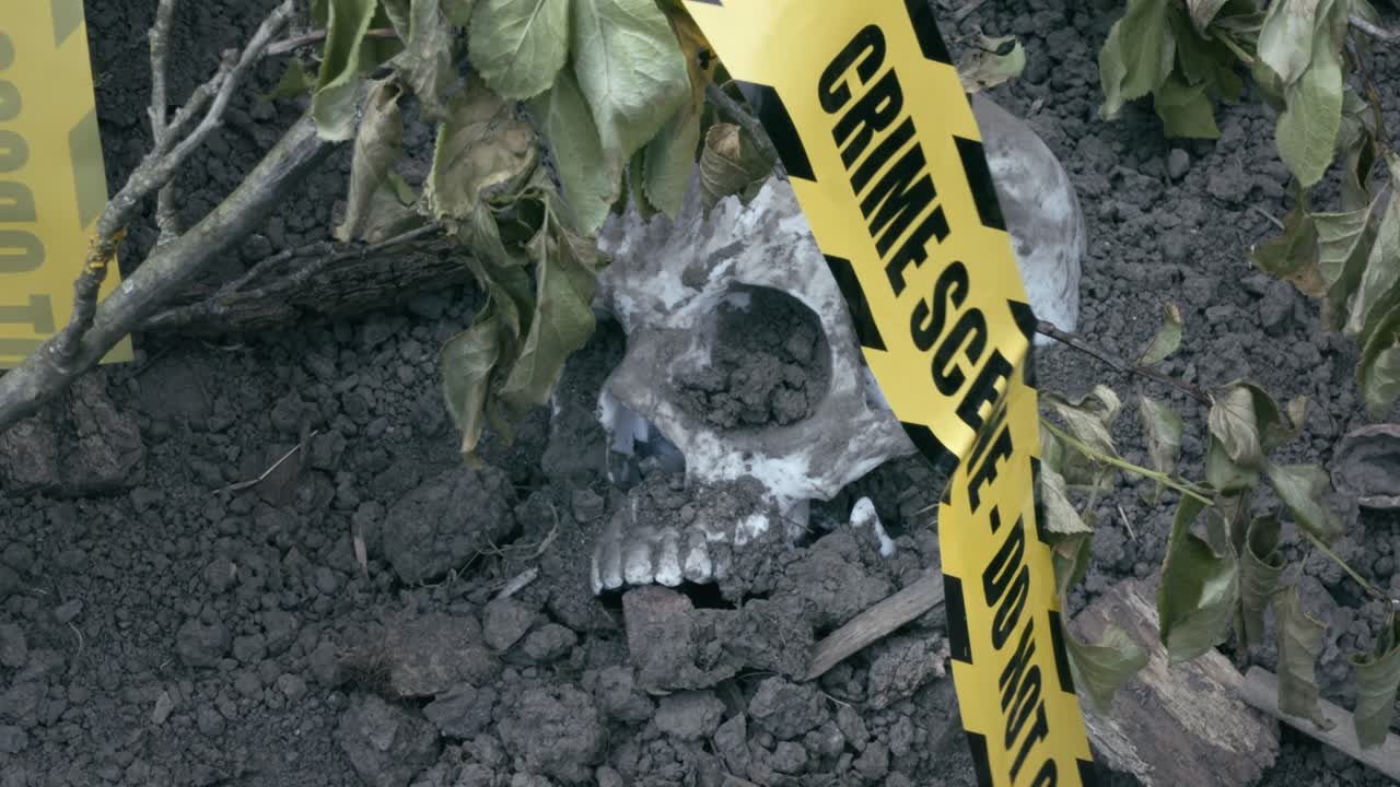 Evidence markers and Crime scene tape with human skull buried in soil