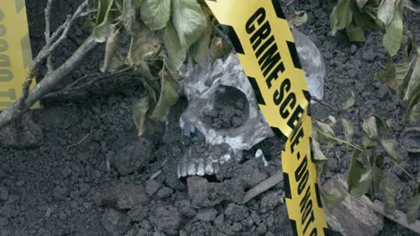 evidence markers and crime scene tape with human skull buried in soil