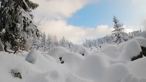 white clouds time lapse in forest covered by fresh snow, europe