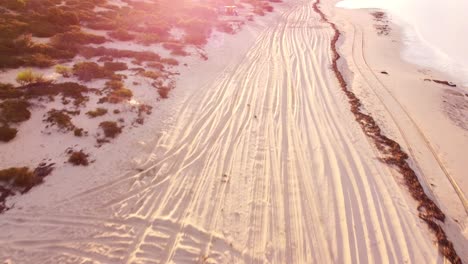 shark bay’s waters, islands and peninsulas have a number of exceptional natural features, including one of the largest seagrass beds in the world