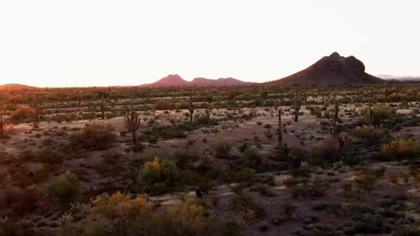 aerial forward arizona desert in golden sunset, mountain peaks grand canyon