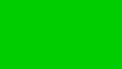 rolos blancos de cinta de papel desenroscándose hacia abajo, cerrando la pantalla. animación 3d de rayas blancas que cubren la pantalla. pantalla verde de máscara alfa.