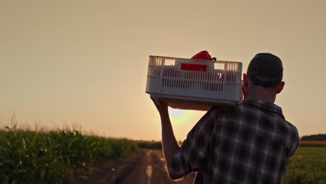 farmer carrying produce at sunset