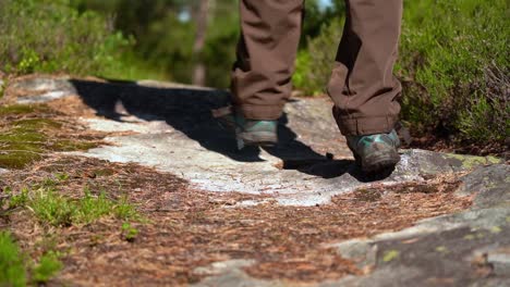 hiking trail low angle with person and shadow entering frame and passing camera with only shoes and legs visible - beautiful sunny slow motion shallow depth clip with green vegetation