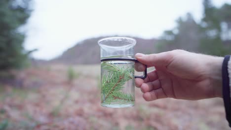 Té-De-Agujas-De-Pino---Hombre-Sosteniendo-Un-Vaso-Con-Agujas-De-Pino-Para-El-Té