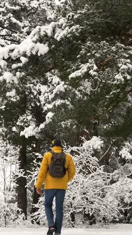 person walking in the forest