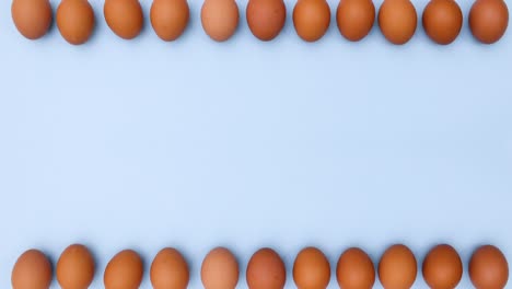 fresh organic eggs on top and bottom of pastel blue background. stop motion flat lay