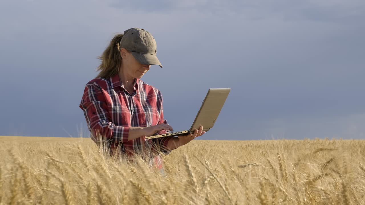 Agricoltrice che lavora al laptop in un campo di grano