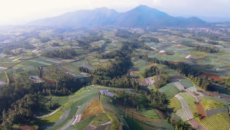 vista aérea de una gran plantación de verduras con montaña en el fondo por la mañana con un clima ligeramente nublado - paisaje rural tropical