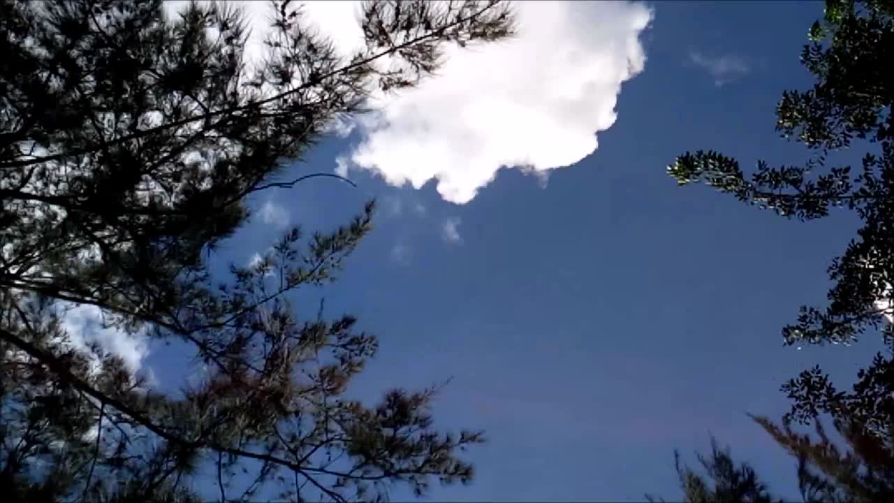 Time lapse rotating video shot of passing clouds in the sky and trees