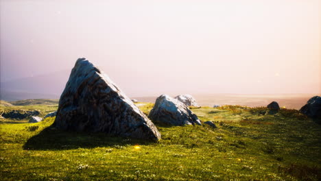 prado alpino con rocas y hierba verde