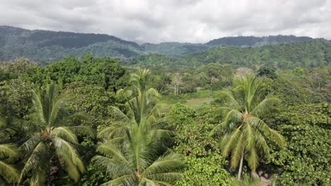 Playa-Linda,-Umgeben-Von-üppigen-Tropischen-Dschungeln-An-Der-Zentralen-Pazifikküste-Von-Costa-Rica