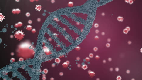 estructura del adn y células de covid-19 contra un fondo rosa