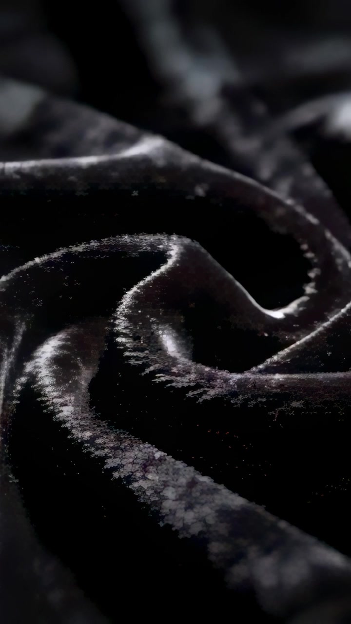 Video verticale: Luci da studio in movimento, telecamera che scorre su velluto nero a spirale mostrando la texture del pelo.
