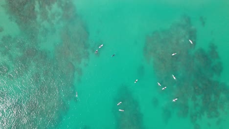 Draufsicht-Auf-Surfer-Im-Türkisfarbenen-Wasser