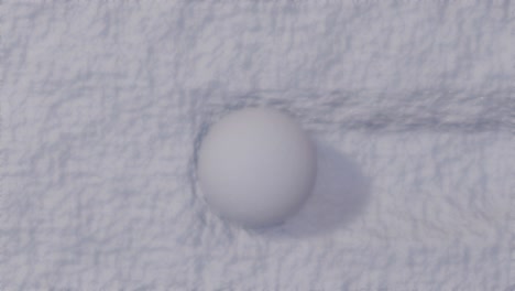 a rolling snowball seen from above