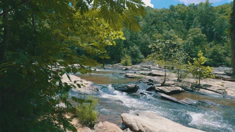 a beautiful sweeping view of a steady river embedded within a thick green forest on a sunny day