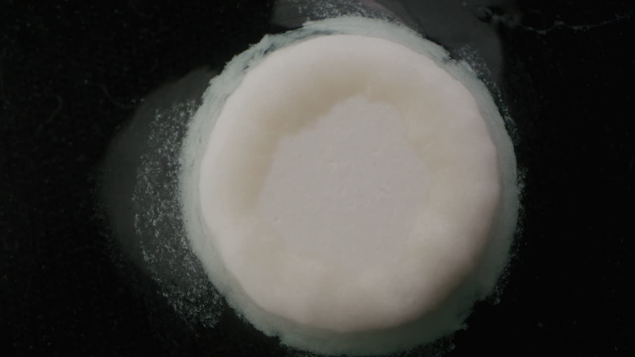 Microscopic View of Biological Culture