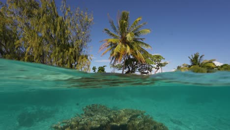 tiro dividido, mitad arriba, mitad debajo del agua de un arrecife de coral tropical en fakarva, el segundo atolón más grande de la polinesia francesa en el océano pacífico sur en cámara lenta