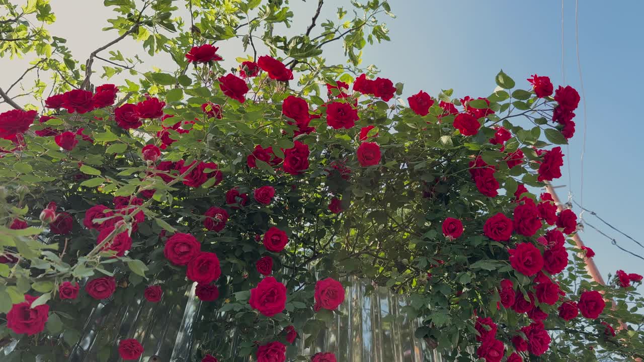 Beauty of Rural India and farmers land, Nature beauty, Hills, Green Fields with Village Life in Forest area and Timeless Travel Escapes