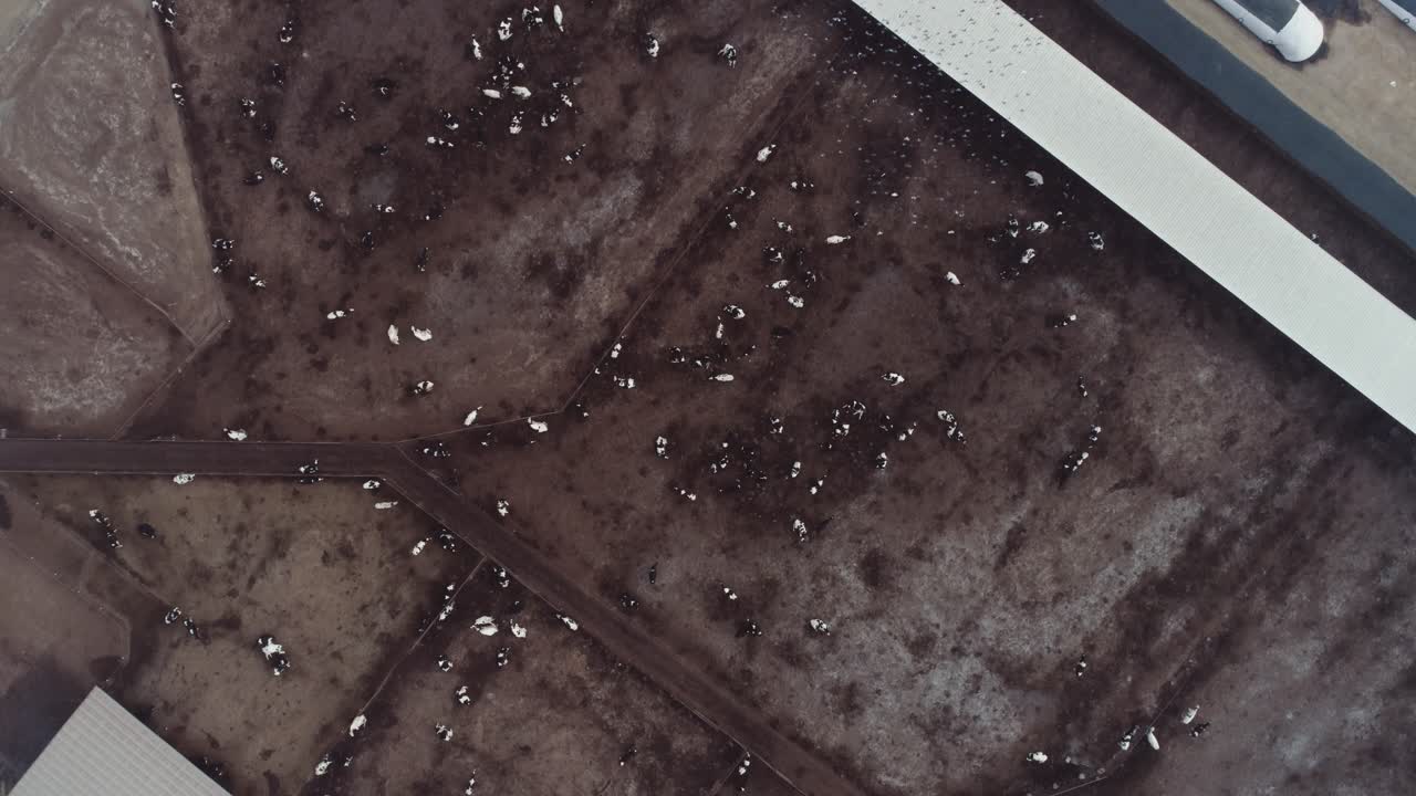 캘리포니아 중부 의 유제품 농장 을 내려다보는 공중 촬영