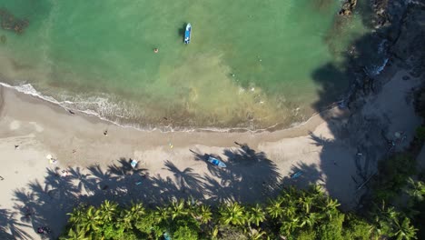 Bird's-eye-view-of-a-beach-where-pelicans-hunt-in-the-sea