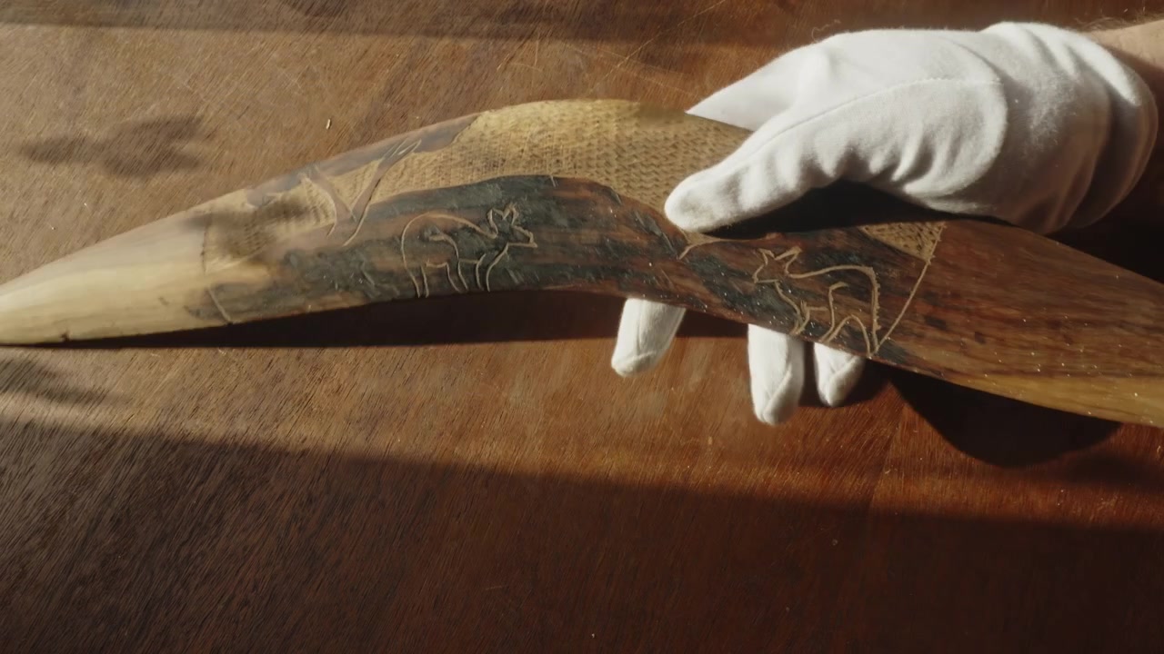 Un curatore museale con guanti bianchi esamina attentamente un boomerang aborigeno australiano decorato con arte tradizionale aborigena all'ocra, evidenziando la conservazione culturale e la tutela del patrimonio.