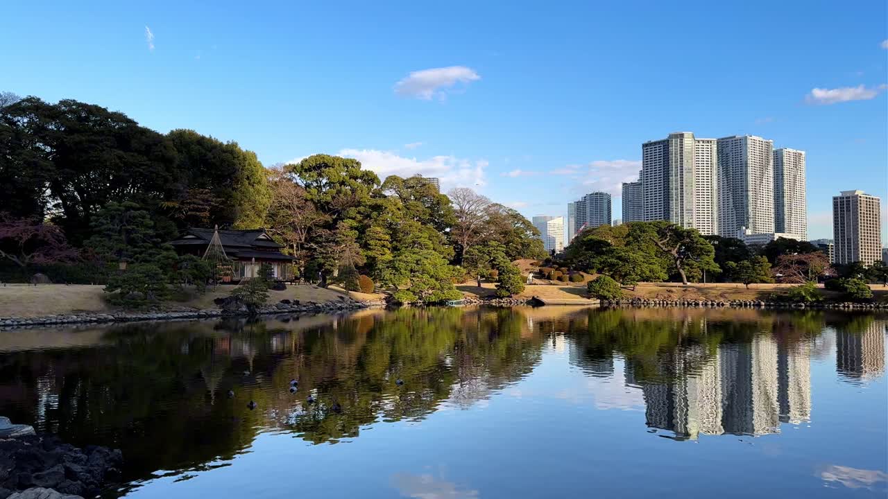 Hama Rikyu Gardens pond reflects trees, skyline, and serene nature in vibrant sunlight