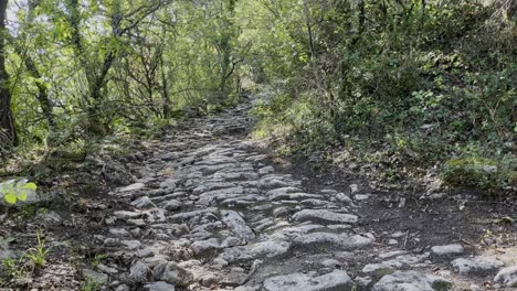 Antiguo-Camino-Histórico-De-Piedra-Con-Piedras-Desiguales-En-El-Suelo-A-Través-De-Un-Bosque,-Romanos,-Carros,-Alemanes,-Griegos