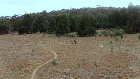 dron rastreando a una ciclista de montaña a lo largo de los senderos en australia