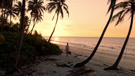 a stunning bird’s-eye perspective captures a lone woman standing barefoot on the white sands of geiymiskih fannu beach as the maldivian sun dips below the horizon.