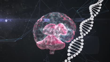 Animation-Des-Digitalen-Gehirns-Und-Des-DNA-Strangs-Auf-Schwarzem-Hintergrund