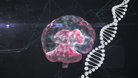 animación del cerebro digital y la cadena de adn sobre un fondo negro
