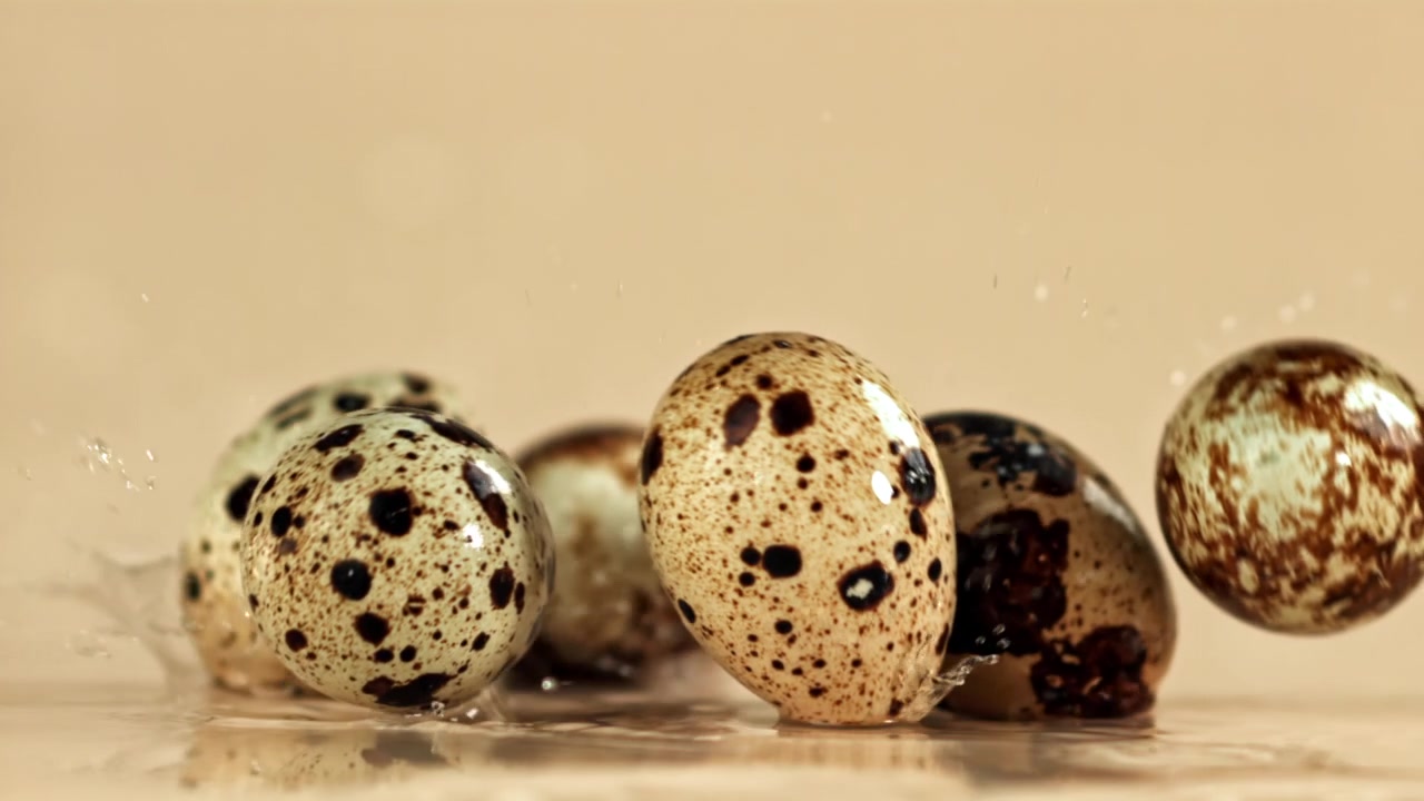 Close-up of Quail Eggs Falling into Water in Slow Motion