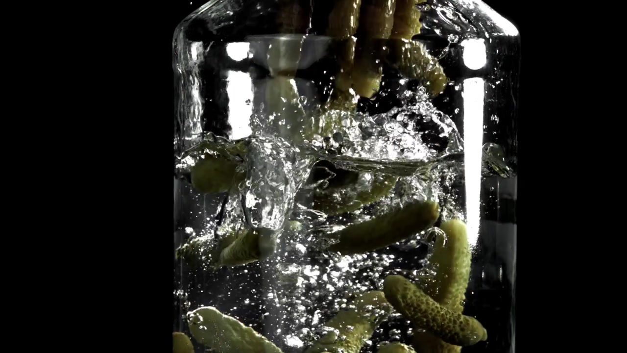 Cetriolini sottaceto che cadono nell'acqua in un barattolo di vetro al rallentatore