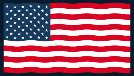 united states of america flag