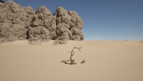 desert landscape with dead tree