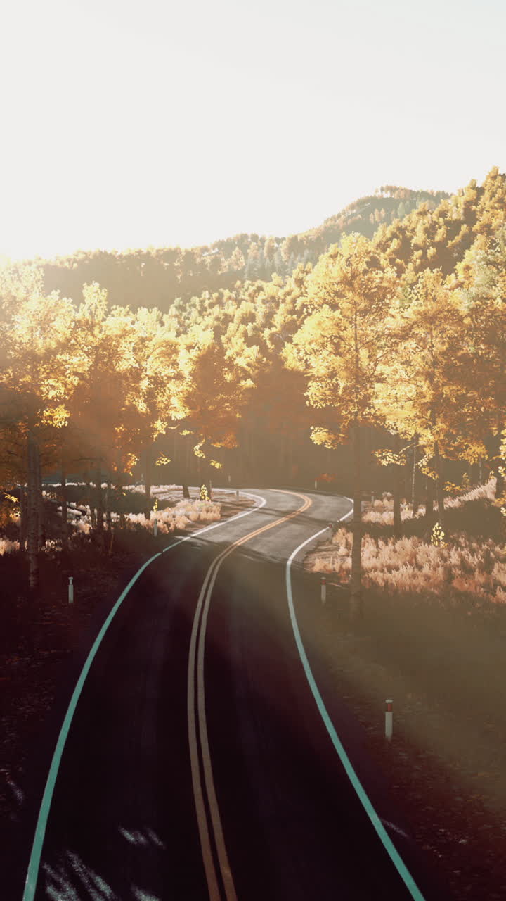 숲 을 가로지르는 곡선 도로